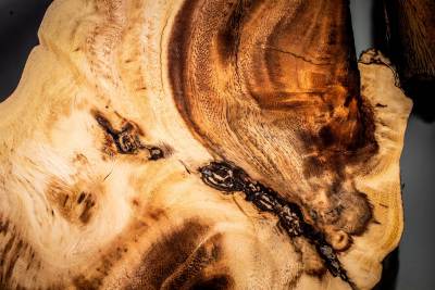 BRATISLAVA - BAROVÝ PULT