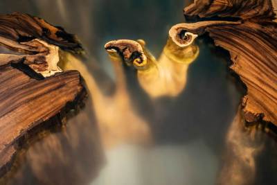 BRATISLAVA - KONFERENČNÝ STÔL