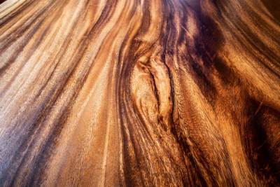 TRENČIANSKE JASTRABIE - JEDÁLENSKÝ STÔL